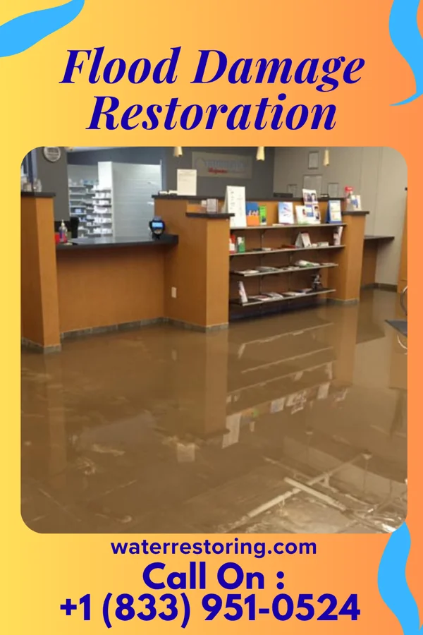 Flood Damage Restoration in Croswell, MI