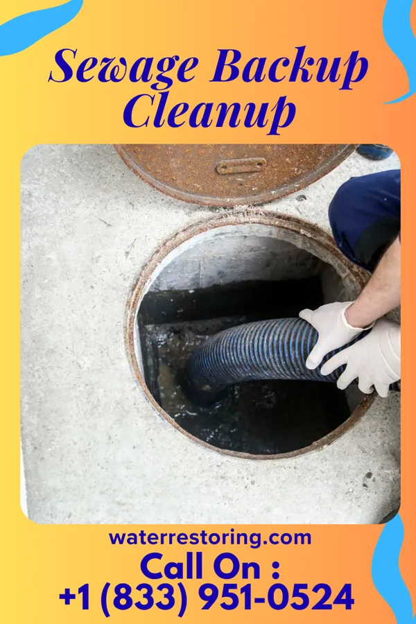 Sewage Backup Cleanup in Croswell, MI