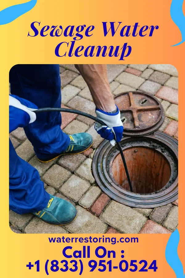 Sewage Water Cleanup in Croswell, MI
